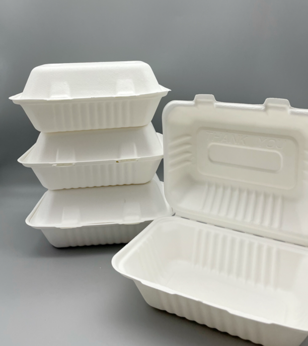 Bagasse Containers